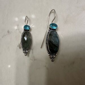 Elegant Silver and Blue Stone Earrings